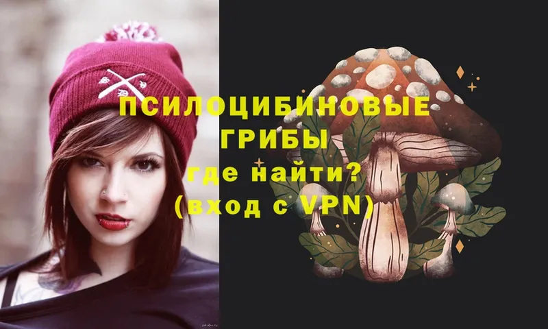 купить наркоту  Гусь-Хрустальный  Галлюциногенные грибы MAGIC MUSHROOMS 